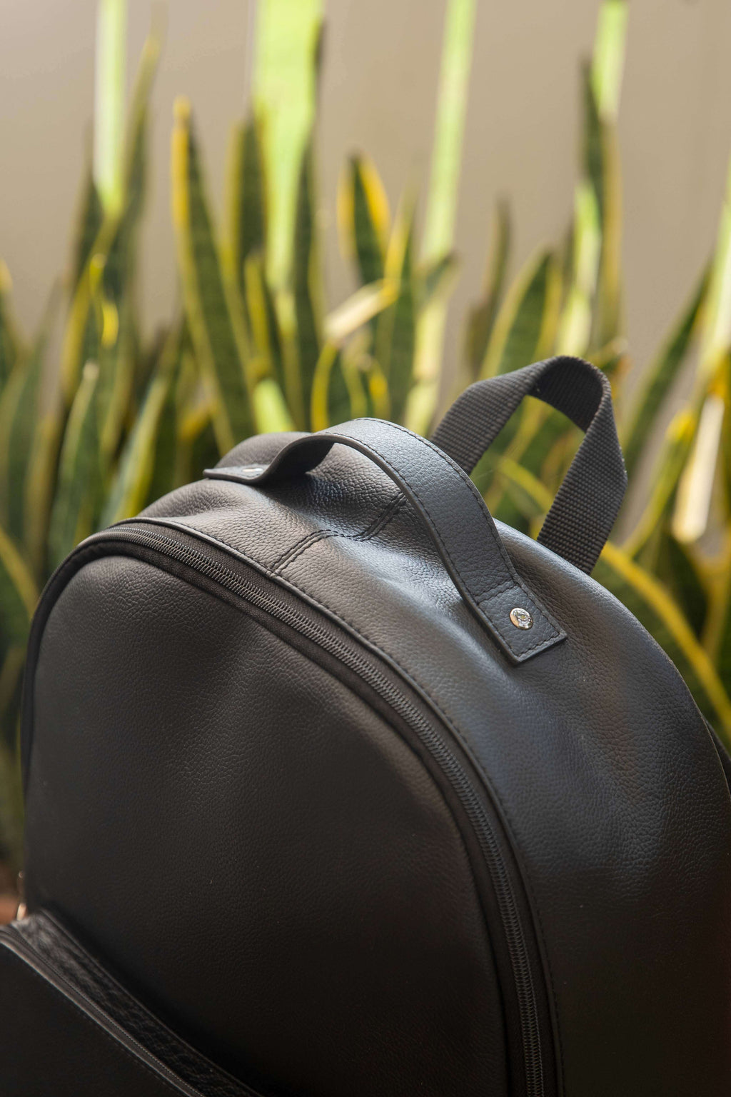 Black backpack with a plant in the background